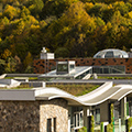 Green Roof